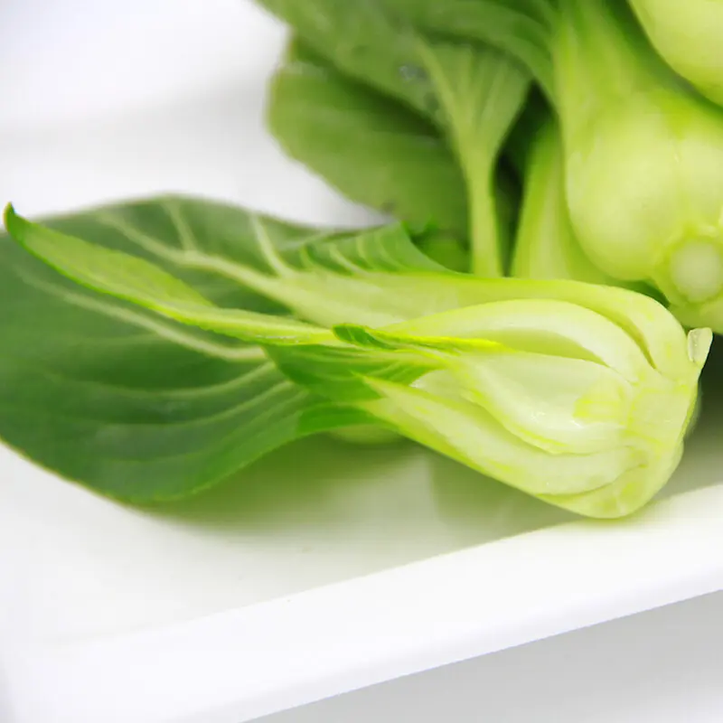 7a3f882262d6107e (1).webp