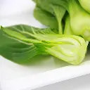 7a3f882262d6107e (1).webp