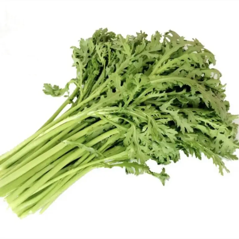 dc3801cdfec0a46a (2).webp