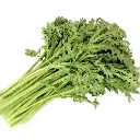 dc3801cdfec0a46a (2).webp