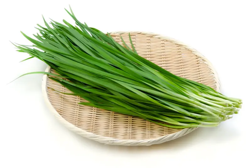 Chinese Chives