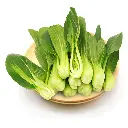 Mini Shanghai Pak Choi 500 g