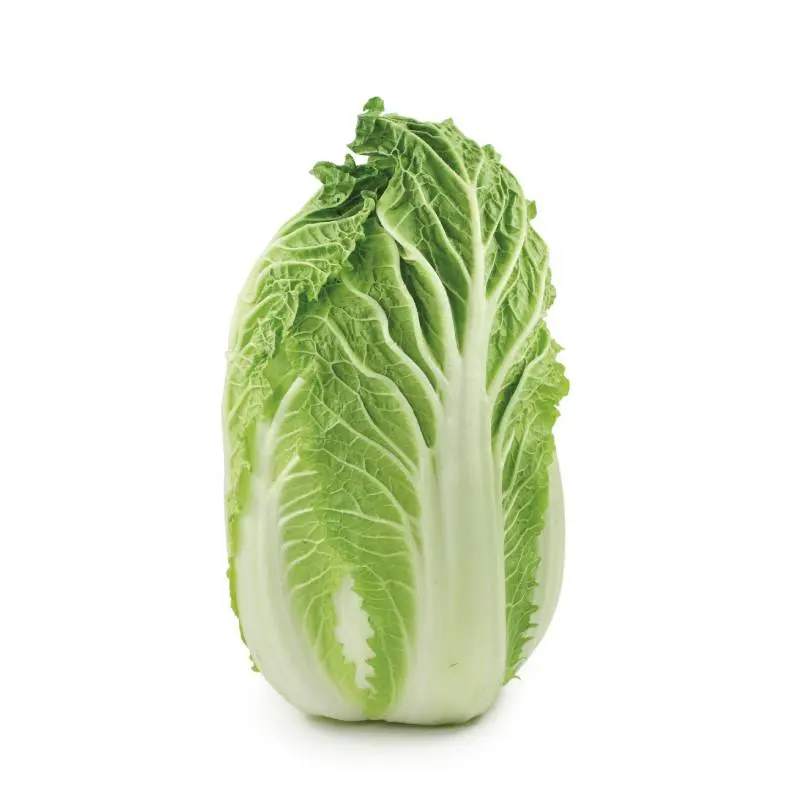 [102662] Chinese Cabbage M 700g